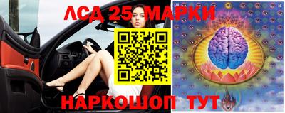 Альфа ПВП Новозыбков