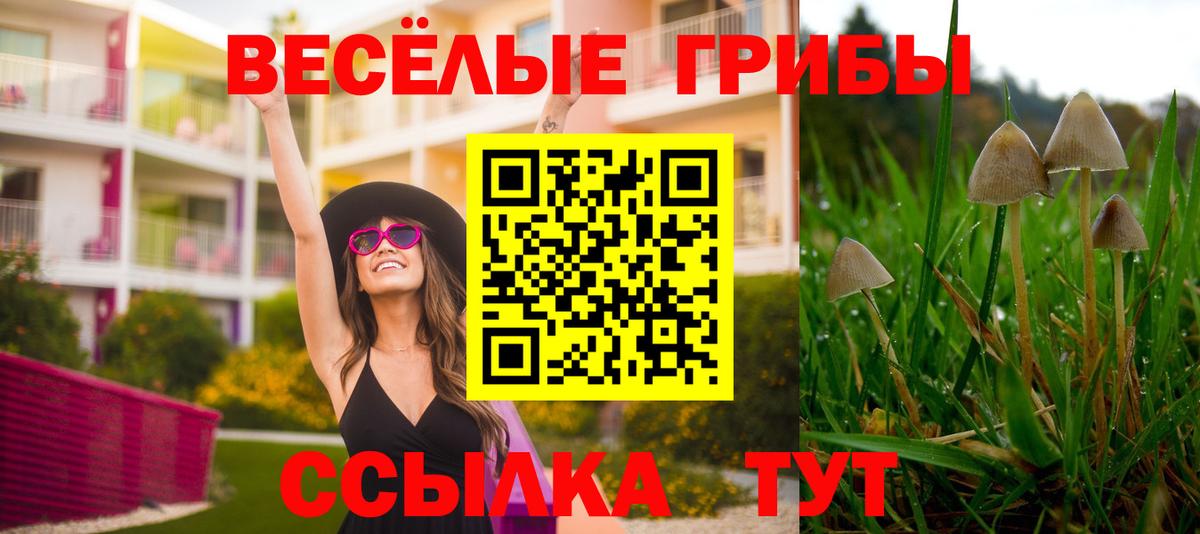 Пугачёв  Галлюциногенные грибы мухоморы  Галлюциногенные грибы мухоморы  Вход с VPN 